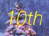 10th