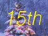 15th