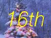 16th