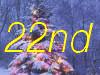 22nd