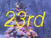 23rd
