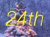 24th