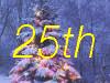 25th